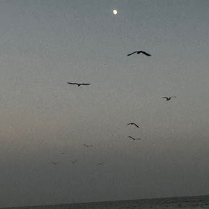 Meet your Posher, Cuong